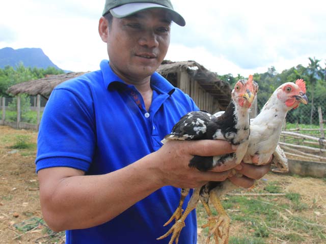 nguoi so huu 300 con ga re quy hiem hinh anh 1