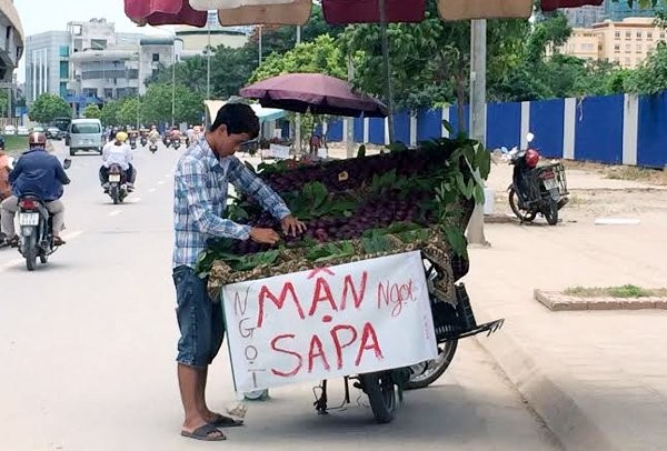 Mận tím Sapa vẫn được bày bán tràn lan tại Hà Nội mặc dù đã hết mùa cách đây gần 2 tháng.