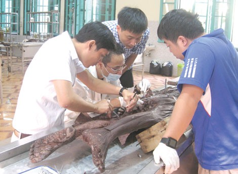 
“Những thi thể nằm đây không hề đáng sợ, bởi họ đang giúp chúng ta làm nhiệm vụ cao cả là nghiên cứu khoa học”.
