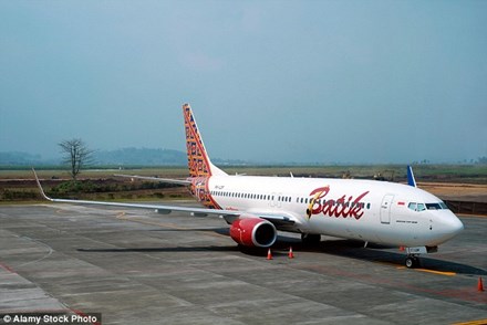 Một m&aacute;y bay của Batik Air.
