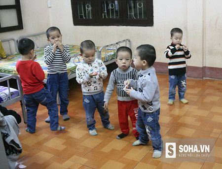 
10 bé trai từ khi được đưa về Trung tâm bảo trợ xã hội có hoàn cảnh đặc biệt khó khăn tỉnh Quảng Ninh chăm sóc đều rất khỏe mạnh và ngoan ngoãn.
