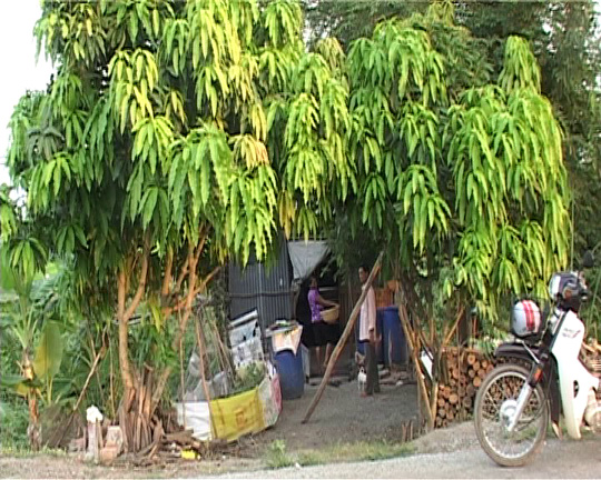 Nơi xảy ra vụ việc