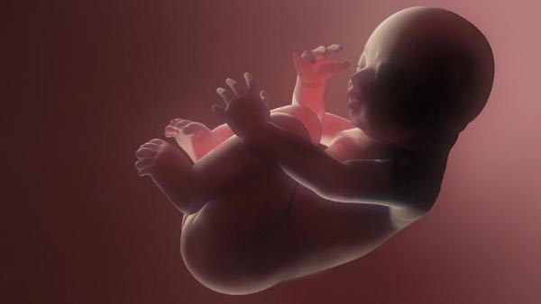 
Hiện tượng thai trong thai rất hiếm gặp, trên thế giới mới có chưa tới 100 trường hợp. Ảnh minh họa: Thinkstock
