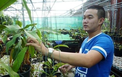 Lê Minh Tuấn bên vườn ươm cây. Ảnh: Sinh Viên Việt Nam.