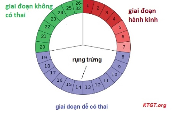 không rụng trứng gây vô sinh