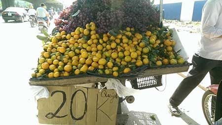Quýt quả nhỏ được các hàng bày bán la liệt trên một số đường ở Hà Nội với giá chỉ 15.000-20.000 đồng/kg. Ảnh: Ngọc Lan.
