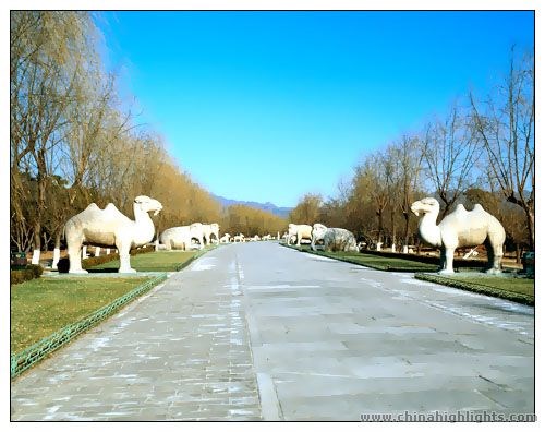 Thập Tam Lăng nằm ở chân núi Thiên Thọ thuộc huyện Xương Bình, cách Bắc Kinh 50 km về phía Tây Bắc. Lăng mộ đầu tiên trong quần thể này được hoàng đế thứ ba của nhà Minh là Vĩnh Lạc Đế xây dựng vào năm 1409. Trong ảnh là lối đi dẫn đến các lăng dài 7 km được gọi là Thần Đạo.