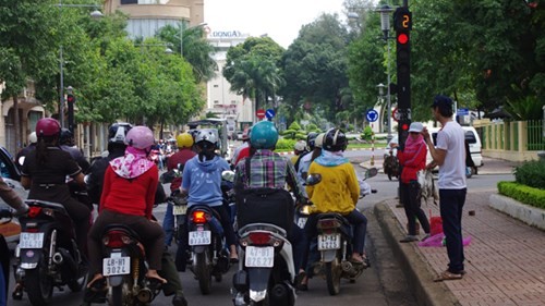 Chim trời bị buộc thành từng bó rao bán trên phố.