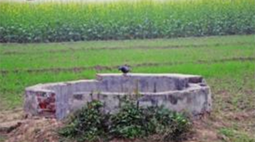 Cái giếng mà Poonam bị 3 kẻ bắt cóc ném xuống. Ảnh: Time Of India