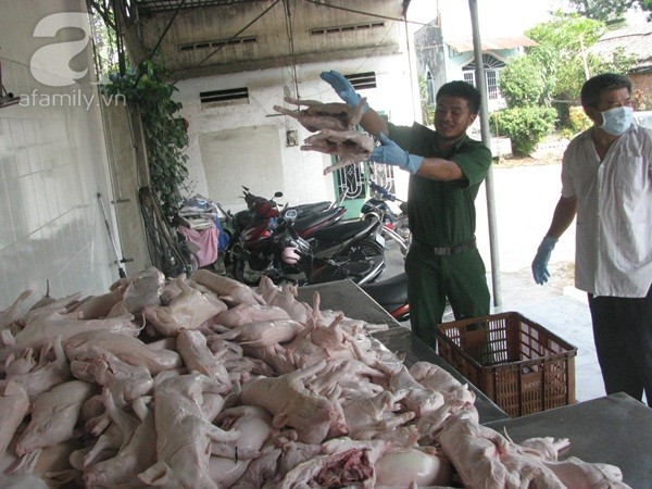 
Nhiều lò giết mổ heo không có giấy phép giết mổ, dùng thuốc an thần, chất cấm tiêm vào thịt heo đã bị phát hiện trong thời gian qua.
