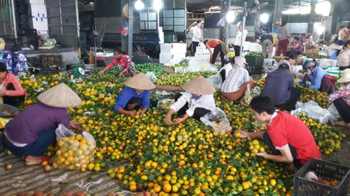 
Phần lớn khách mua chủ yếu là những người bán lẻ rong tại nhiều tuyến phố của Hà Nội. Ảnh: Trịnh Nguyên
