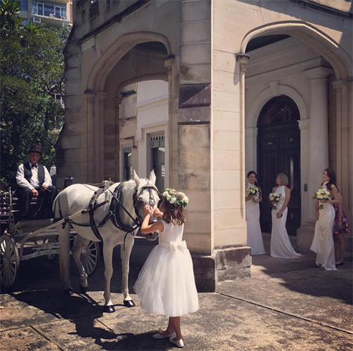 Cặp đôi bao trọn dinh thự Swifts Mansion để tổ chức đám cưới. Vương Dương Minh và cô dâu đã tới Sydney từ ngày 12/12 để chuẩn bị cho hôn lễ.