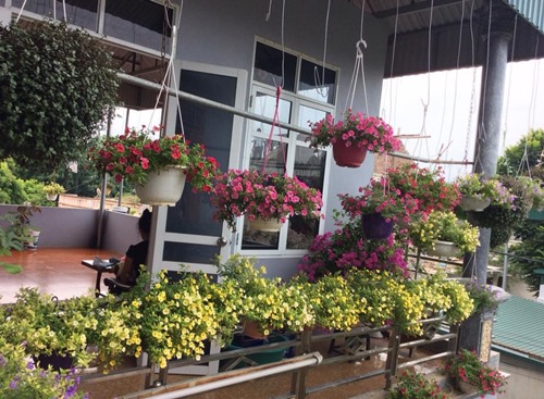 Tầng 2, chị Huế ưu ti&ecirc;n treo những giỏ hoa theo m&ugrave;a