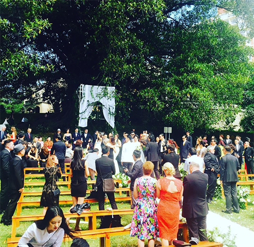 Hôn lễ diễn ra ngoài trời, giữa mùa hè Sydney. Nơi cử hành hôn lễ được đặt dưới một tán cây cổ thụ, tỏa bóng mát.
