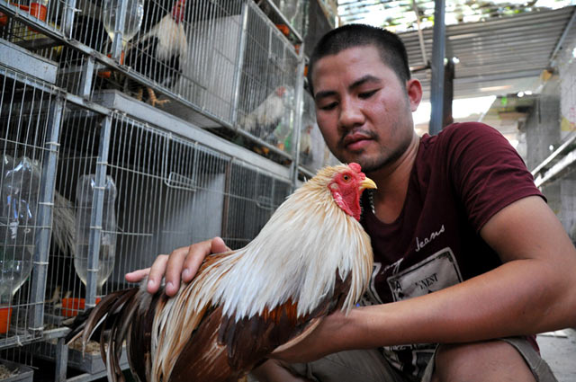 chiem nguong ga quy thuan chung duoi dai ca met gia nghin do hinh anh 7