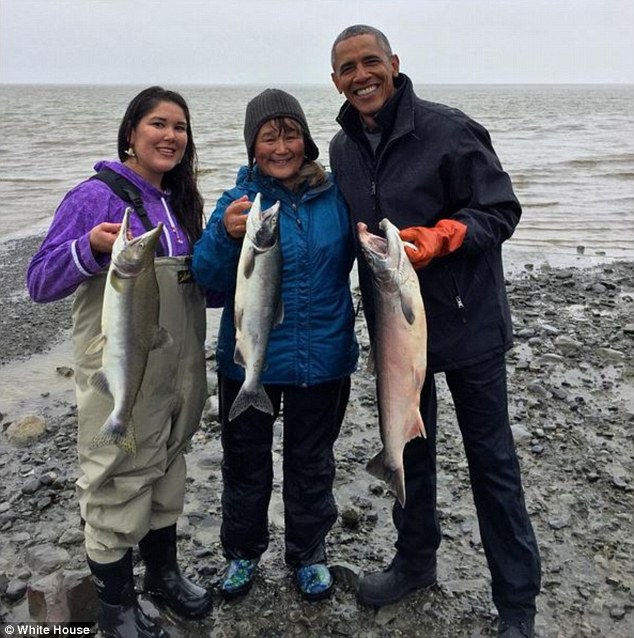 Tổng thống, Mỹ, Obama, Barack Obama, cá hồi, gấu, thức ăn thừa, thám hiểm, tự nhiên, biến đổi khí hậu