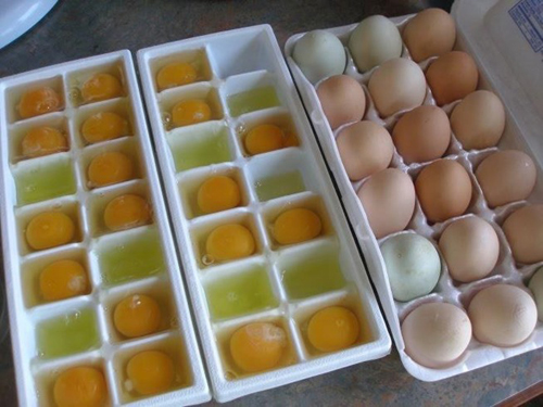 Cách thức đông lạnh trứng
