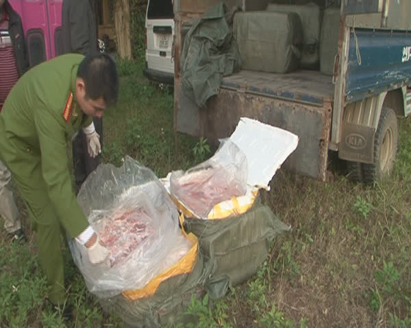 
Cơ quan chức năng phát hiện số lượng nầm lợn nhập lậu vào Việt Nam. Ảnh công an cung cấp.
