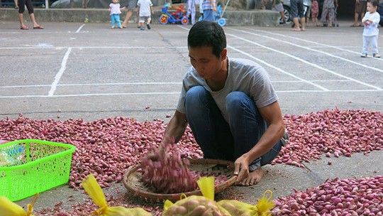 Anh Thắm bán tỏi, hành Lý Sơn ở Hà Nội.