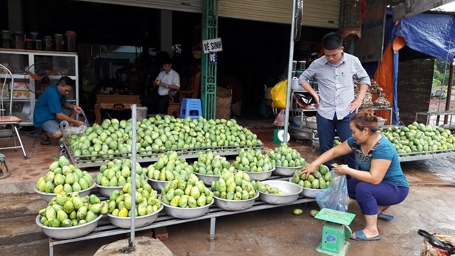 
Xoài Yên Châu được khách hàng ưa chuộng.
