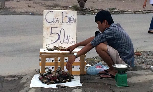 
Cua, ghẹ “lạ” có giá siêu rẻ bán tràn lan trên vỉa hè Hà Nội
