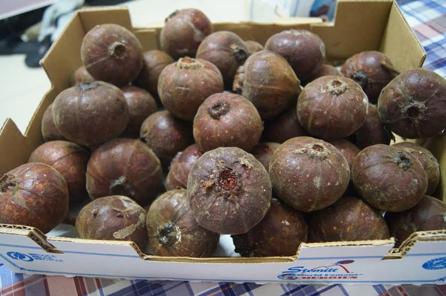 
Sung khổng lồ đang được rao bán trên mạng với giá 60.000 đồng/kg
