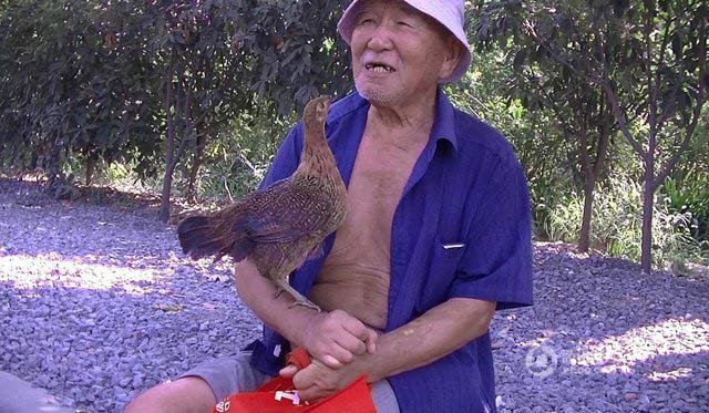 
&Ocirc;ng v&ocirc; c&ugrave;ng ngạc nhi&ecirc;n khi ph&aacute;t hiện ra ch&uacute; g&agrave; con cứ lẽo đẽo theo m&igrave;nh. Kể từ đ&oacute; họ trở th&agrave;nh những người bạn th&acirc;n, đi đ&acirc;u cũng c&oacute; nhau.
