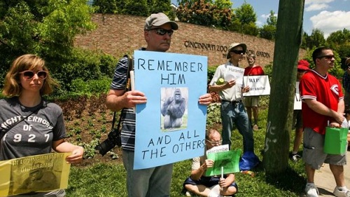 
Biểu tình phản đối vụ giết chết khỉ đột Harambe ở vườn thú Cincinnati, Mỹ. Ảnh: Reuters
