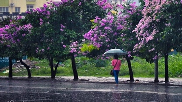 
Ngày mai miền Bắc sẽ hưởng tiết trời dịu mát do có không khí lạnh. Hình minh họa
