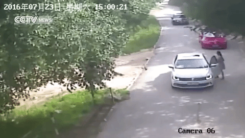 
Vụ việc hổ vồ chết người khiến dư luận Trung Quốc x&ocirc;n xao mới diễn ra c&aacute;ch đ&acirc;y &iacute;t l&acirc;u.
