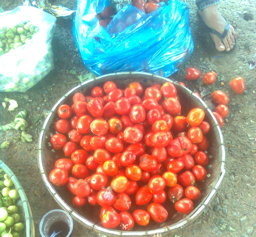 
Những trái cà chua mốc trắng, thối nuỗng bên trong vẫn được tiêu thương cân bán cho các cửa hàng ăn uống bình dân
