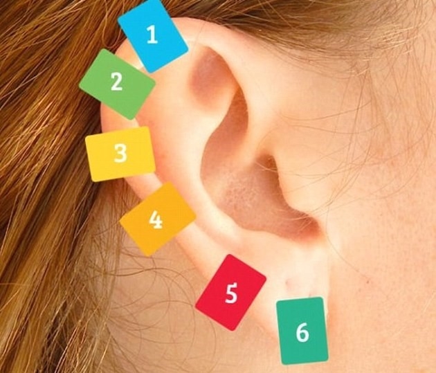 Sơ đồ huyệt đạo ở tai tác động lên các cơ quan: 1. Lưng và vai; 2. Các cơ quan nội tạng; 3. Xương khớp; 4. Mũi họng; 5. Tiêu hóa; 6. Đầu và tim. Ảnh: Littlethings. 