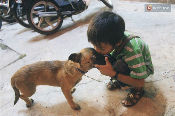 

Cậu bé bán vé số tên Bảo và người bạn nhỏ với đôi chân không lành lặn của mình.

