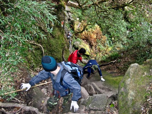 Trước kia có 3 tuyến trekking chính để chinh phục Fansipan là xuất phát từ Trạm Tôn, Sín Chải và Cát Cát. Tuy nhiên, hiện nay chỉ còn tuyến Trạm Tôn được hoạt động, tuyến Sín Chải và Cát Cát đều bị cấm nhiều lần hoặc hạn chế. Ảnh: VnExpress