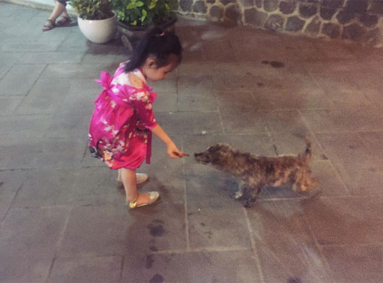 B&eacute; B&aacute;nh Gạo cho ch&uacute; ch&oacute; đ&oacute;i miếng ăn. Ảnh: FB.