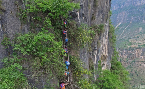 
Đối với những đứa trẻ sống tại làng vách đá Atuler, khu trự trị Liangshan Yi, huyện Zhaojue, phía nam tỉnh Tứ Xuyên, con đường đi học không hề dễ dàng. Cứ hai tuần một lần, 15 đứa trẻ trong làng phải trèo lên và xuống một chiếc thang dựng đứng, cao 800 m, đặt dọc sườn núi để đến trường.
