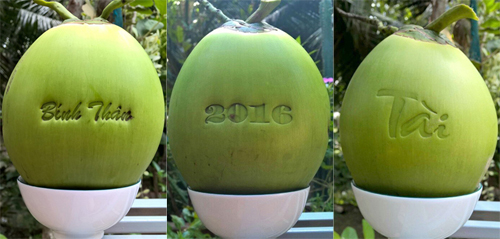 
Lần đầu tiên sản phẩm độc lạ làm từ trái dừa được trình làng trong dịp Tết Nguyên đán 2016. Ảnh: Cửu Long

