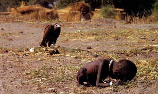 
Bức ảnh kền kền chờ đợi đã cho cả thế giới thấy được sự khủng khiếp của nạn đói ở châu Phi.
