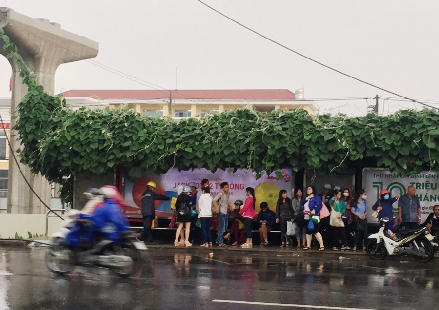 Hàng chục người đang trú mưa dưới trạm xe buýt trên XLHN một phen kinh hoàng vì sét đánh trúng đường dây điện trung thế.