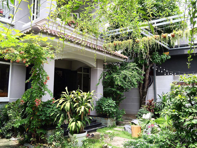 Cao Thái Sơn trải qua nhiều thất bại để có nhà vườn xanh mướt