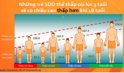 Trẻ suy dinh dưỡng thấp còi khi trưởng thành sẽ bị thiếu hụt chiều cao.