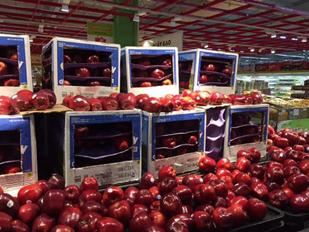 
Những quả táo căng mọng, chín đỏ có “tuổi thọ” đã hơn 100 ngày
