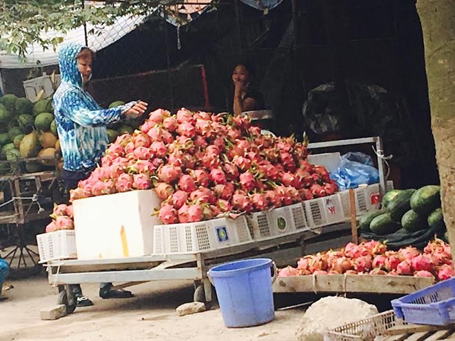 
Thanh long được đổ đống bán la liệt khắp vỉa hè, chợ Hà Nội.
