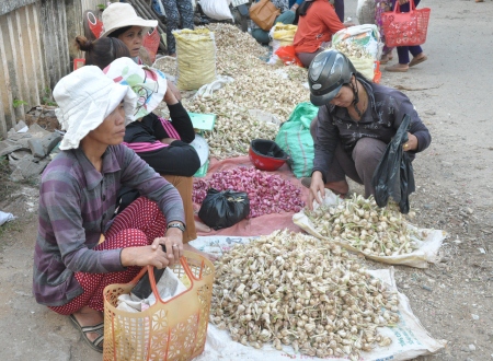 
Giá tỏi Lý Sơn tăng cao vì mất mùa ở chợ, chưa được khách du lịch chọn mua vì không có bao bì và nhãn mác.
