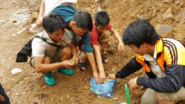 
Nhiều thanh niên trẻ tuổi làm thuê cho các chủ bưởng vàng. Ảnh: C.T
