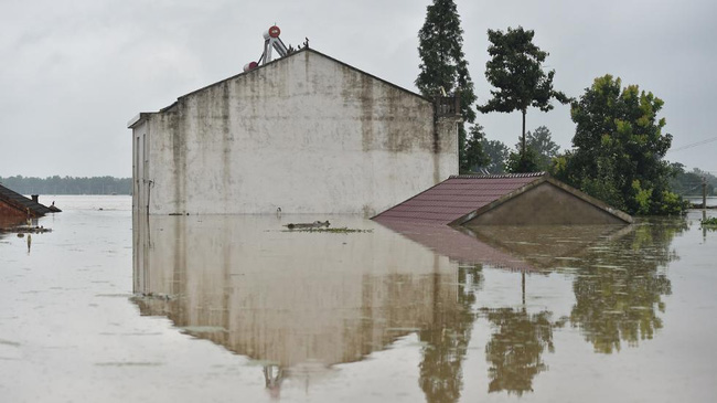 
Tại tỉnh An Huy, những ngôi nhà bị ngập đến nóc.
