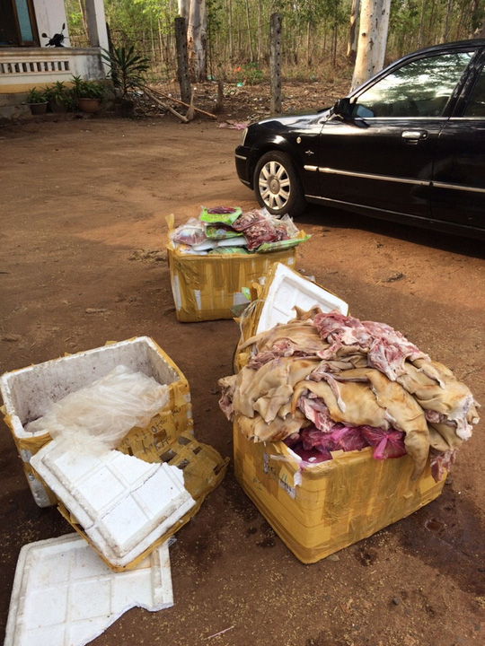 Số thịt thối được tài xế khái nhận chở thuê cho một người để chuẩn bị nấu trong đám cưới