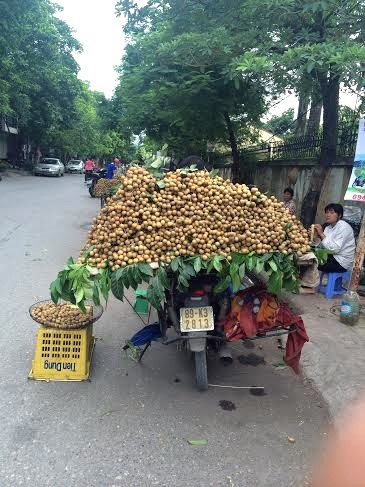 Các loại nhãn lồng, nhãn Thái được bày bán la liệt tại chợ, phố Hà Nội với giá 40.000-60.000 đồng/kg