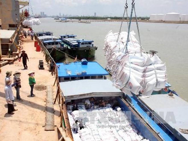 Bốc xếp gạo phục vụ xuất khẩu.