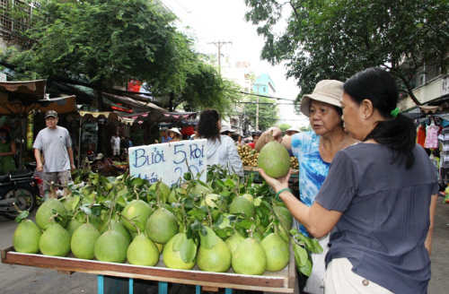 Bưởi năm roi trái nhỏ bán khá chạy, giá 20.000 đồng một trái. Ảnh: Thi Hà.